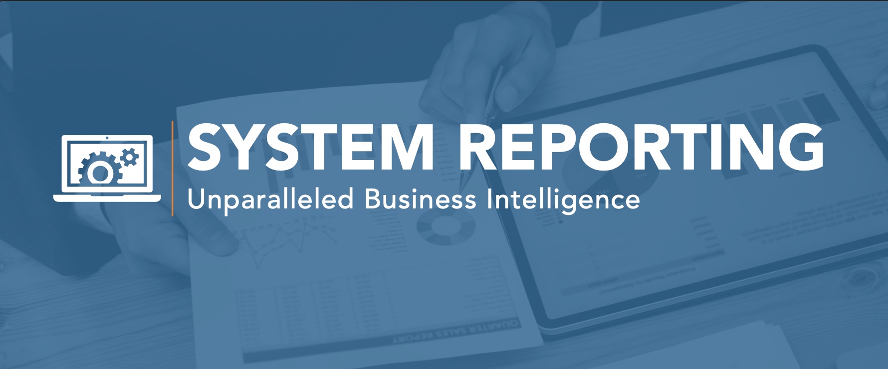 System Reporting Data Sheet