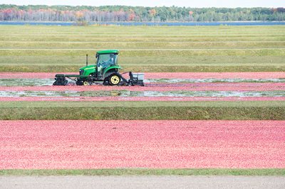 cranberry farm with a tractor 