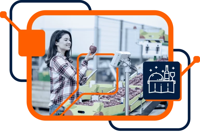 Get More Out of Your ERP with Industry-Specific Software